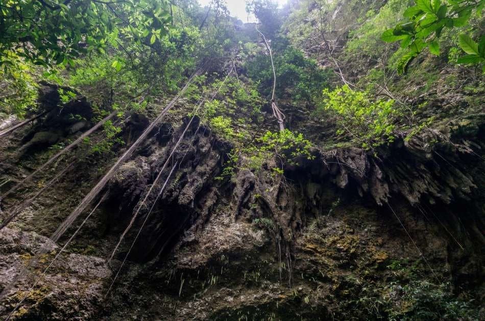 Jomblang Cave - Pindul Cave and Oyo River Tubing Tours Yogyakarta - Photo 10