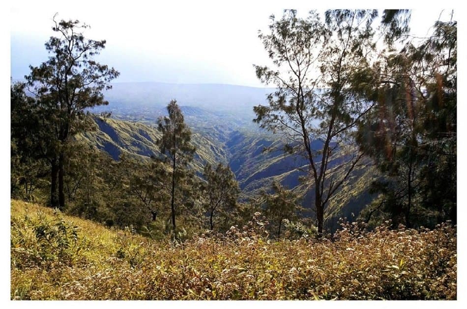 Kintamani and Volcano Tour with Luwak Coffee Tasting from Ubud - Photo 2