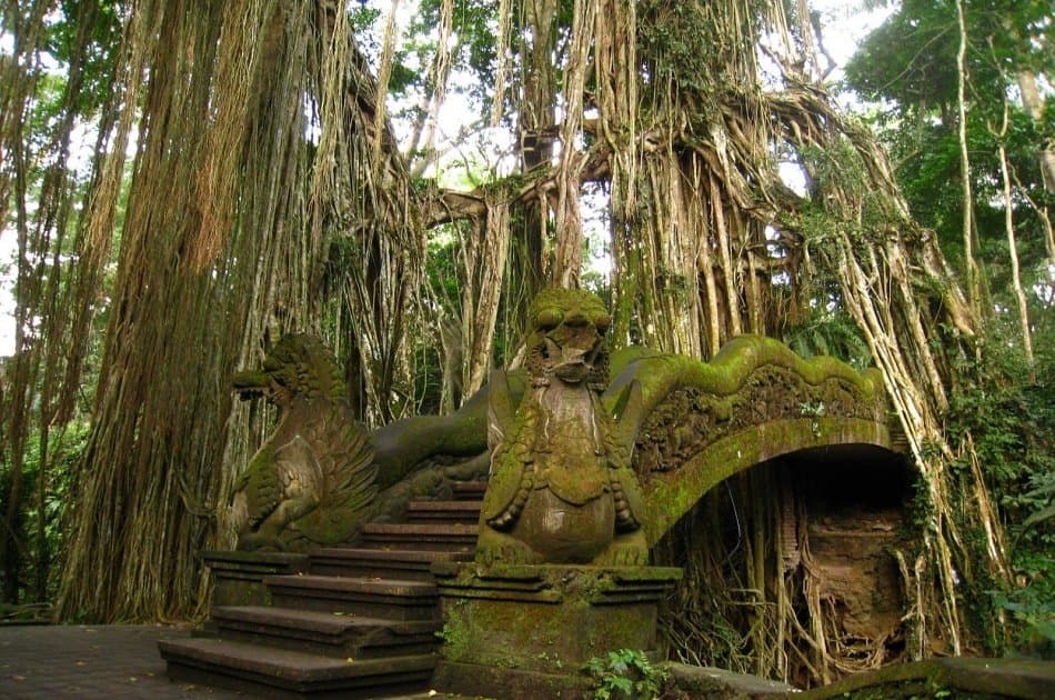 Kintamani, Ubud & Tegenungan Waterfall Private Tour - Photo 8