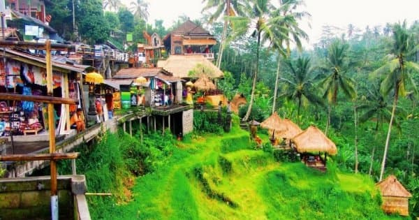 Kintamani, Ubud & Tegenungan Waterfall Private Tour - Photo 1