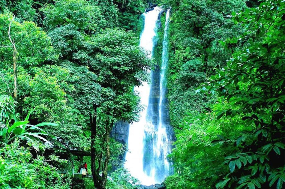 Lovina North Bali Sunrise Group Tour with Dolphins, Waterfalls & Temples - Photo 4