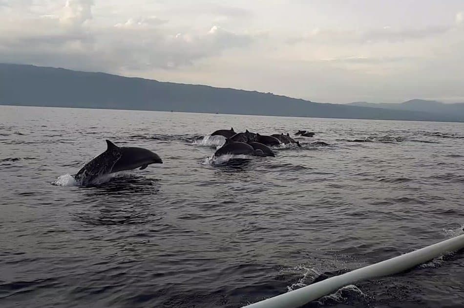 Lovina North Bali Sunrise Group Tour with Dolphins, Waterfalls & Temples - Photo 3