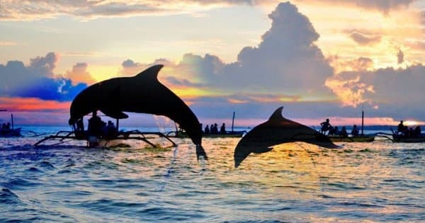 Lovina North Bali Sunrise Group Tour with Dolphins, Waterfalls & Temples - Photo 1