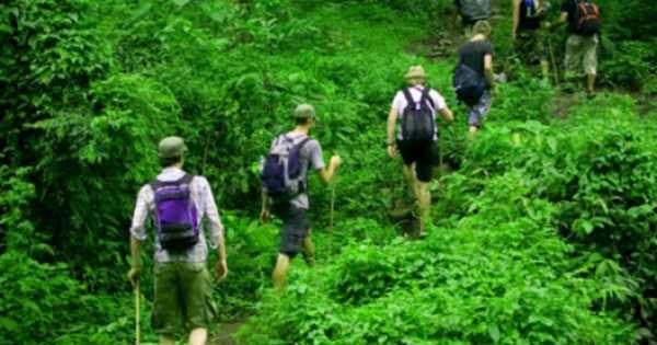Private Day Trip to Bukit Lawang & Jungle Trekking - Photo 1