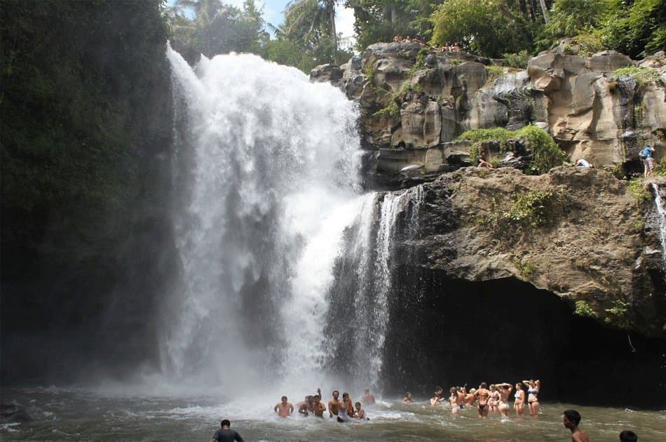 Private Tour: Waterfall in Ubud Full-Day Tour - Photo 2