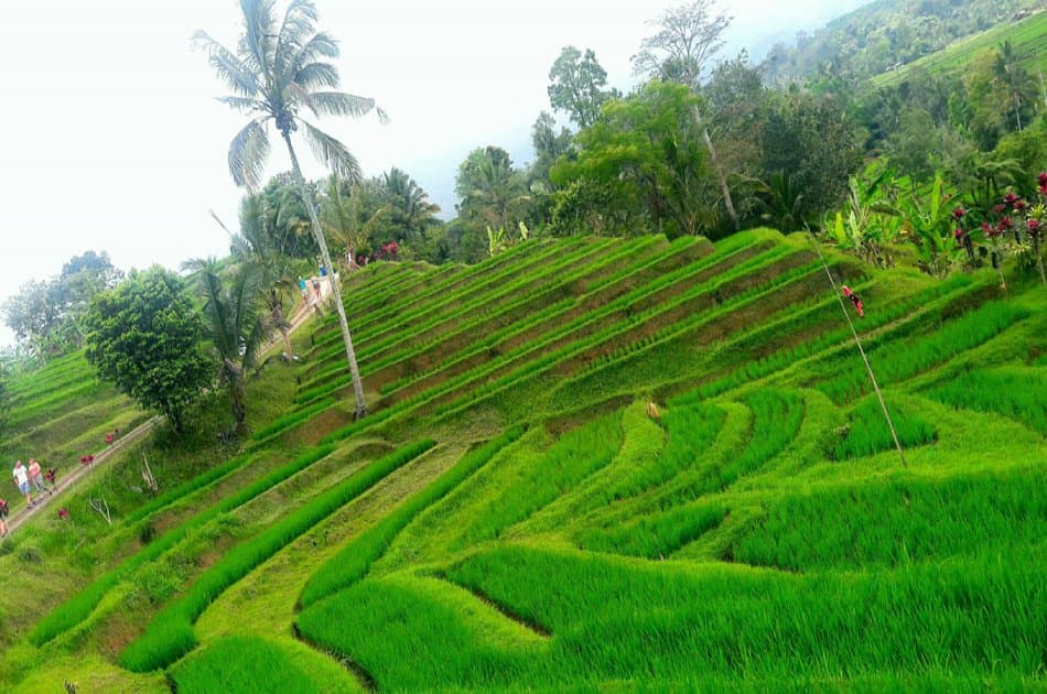 See Amazing Water Temples on Private Bali Day Tour - Photo 9