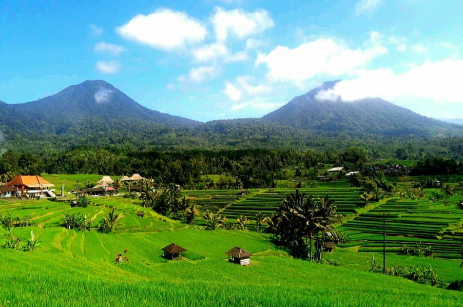 See Amazing Water Temples on Private Bali Day Tour - Photo 12