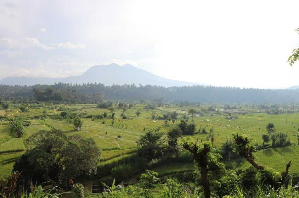 Surface of Ubud - Half Day Tour - Photo 5