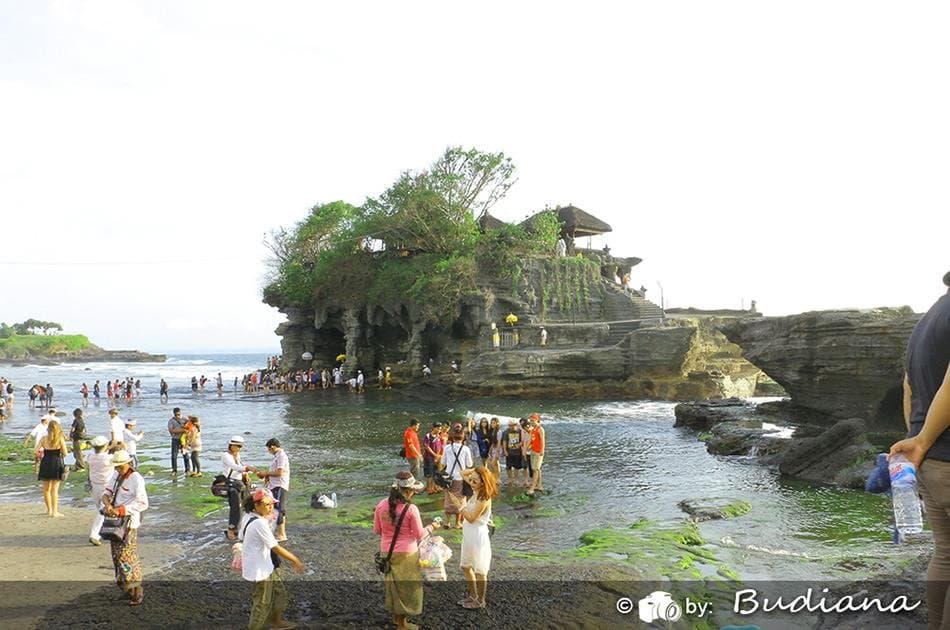 Tanah Lot Temple Sunset Tour - Photo 10