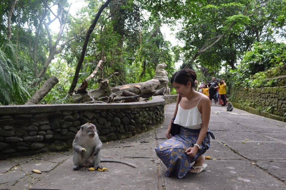Ubud Sightseeing Full Day Tour - Photo 4