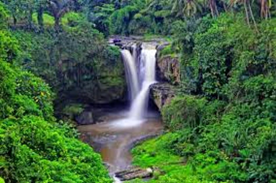 Ubud Tour Bali - Photo 6