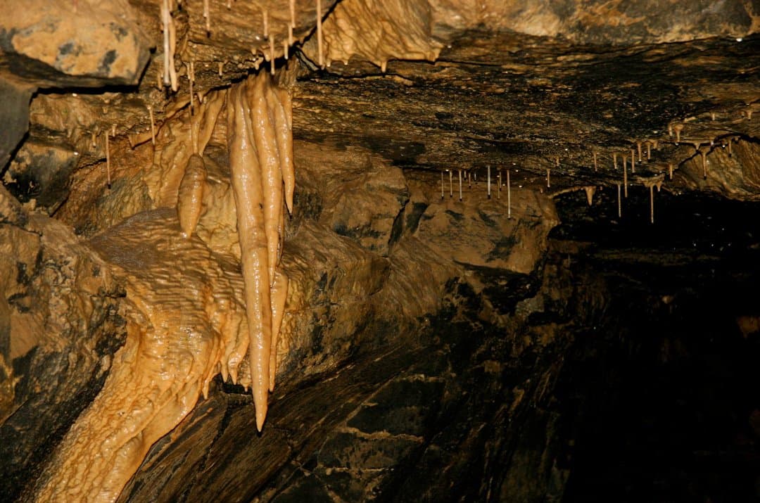Aillwee Cave