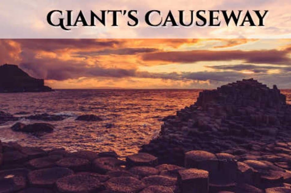 Giants Causeway, Dunluce Castle & Dark Hedges Day Tour Group Tour from Dublin - Photo 2