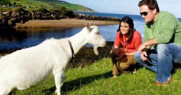 Giants Causeway, Dunluce Castle & Dark Hedges Day Tour Group Tour from Dublin - Photo 1