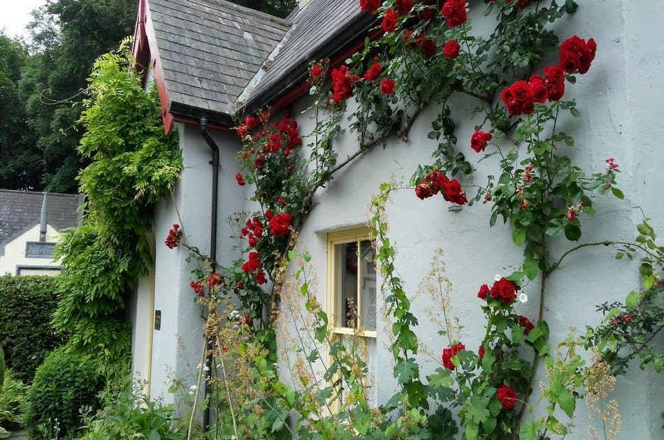 Private Luxury 7 Day Tour of Spectacular South West Ireland - Photo 20