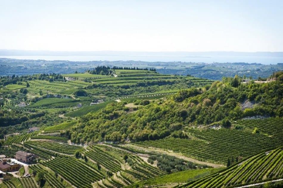 Amarone Wine Trail Tour from Verona - Photo 4