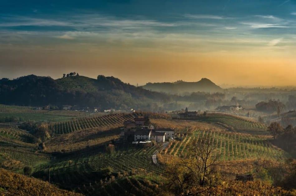 Barolo Wine Tour By Van from Milan - Small Group - Photo 2