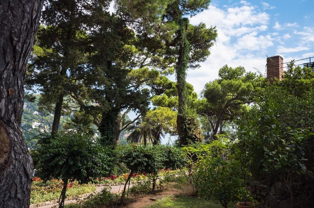 Capri Philosophical Park