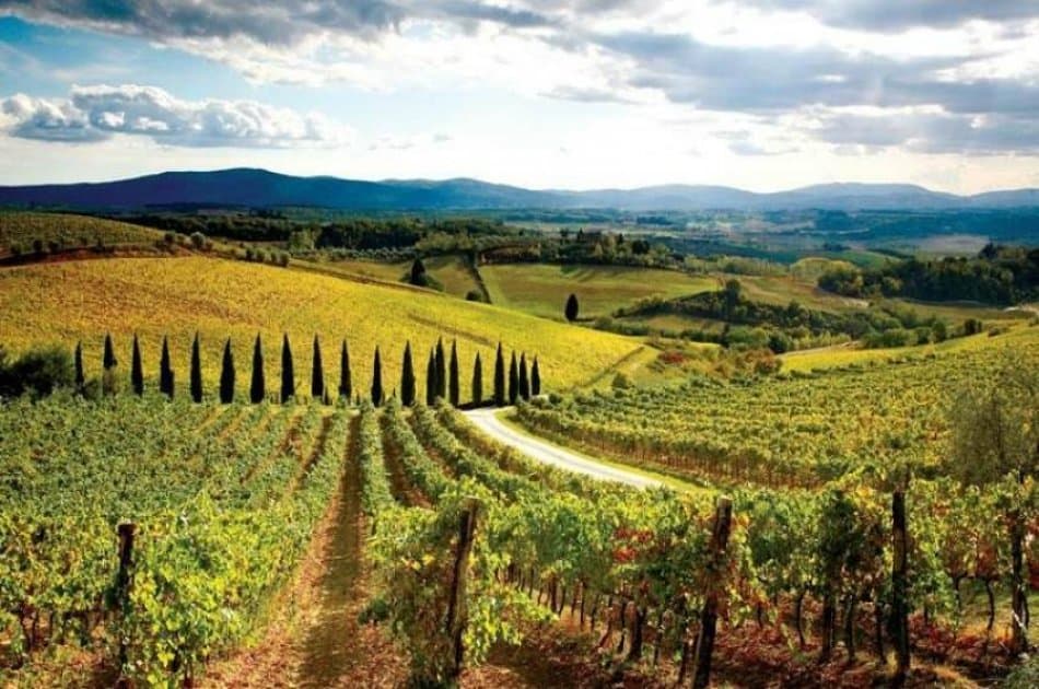 Chianti E-Bike Tour - Photo 5