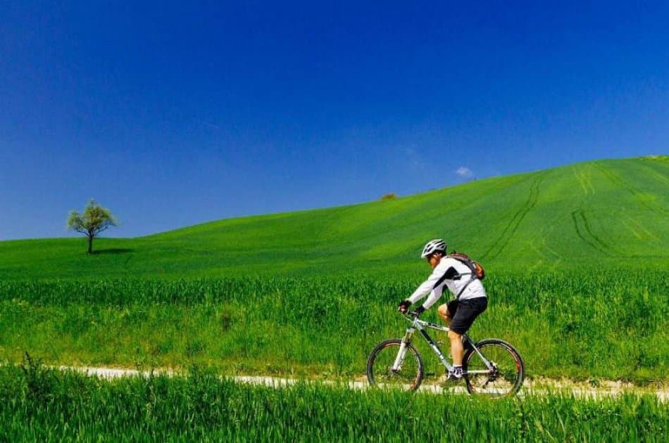 Chianti E-Bike Tour - Photo 3