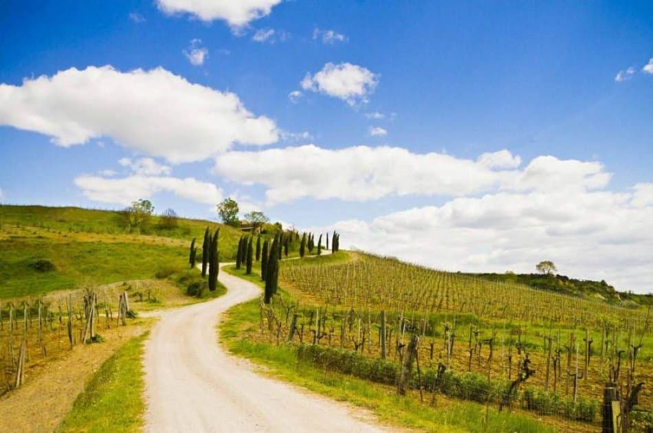 Chianti E-Bike Tour - Photo 7