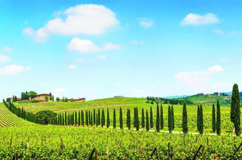 Chianti E-Bike Tour - Photo 9