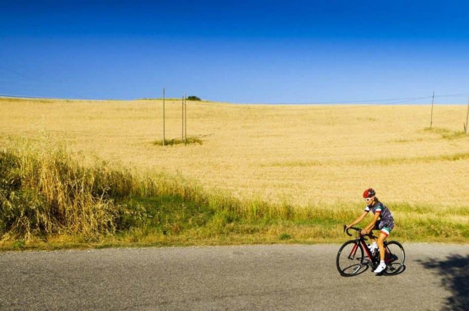 Chianti E- Bike Tour from Siena - Photo 3