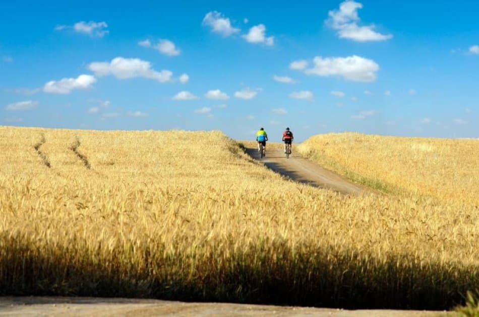 Chianti E- Bike Tour from Siena - Photo 6
