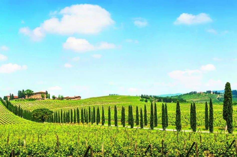 Chianti E- Bike Tour from Siena - Photo 8
