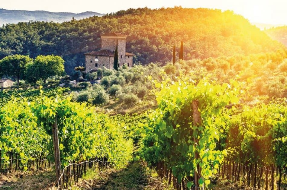 Chianti Half Day Wine Tour - Photo 3