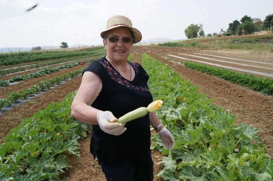 Cooking Lesson in The Roman Countryside - Photo 7
