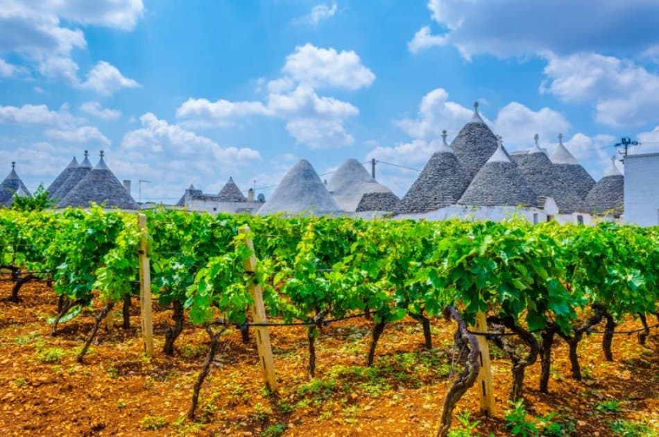 Discover the beautiful villages of Valle D'Itriia - Photo 10