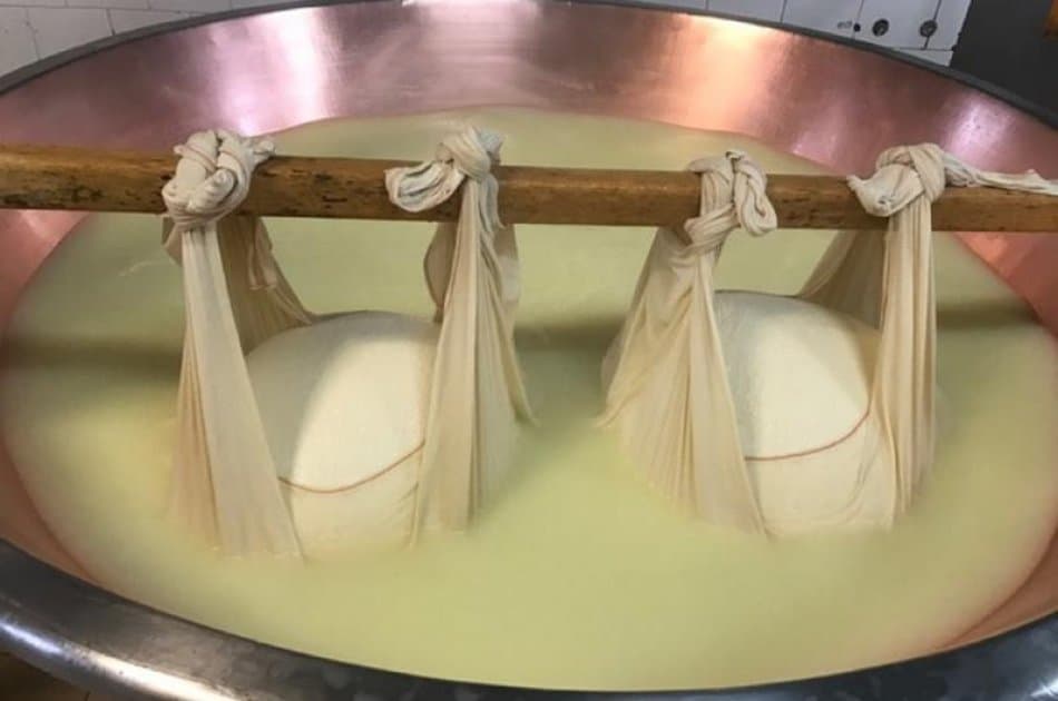 Emilia-Romagna's Typical products Tasting Tour - Photo 10