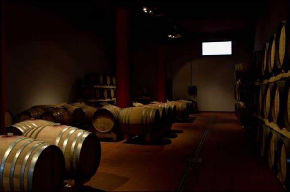 Etna & Wine from Catania - Photo 2