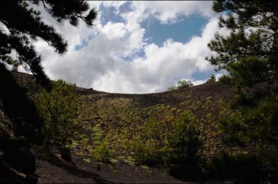 Etna & Wine from Catania - Photo 4