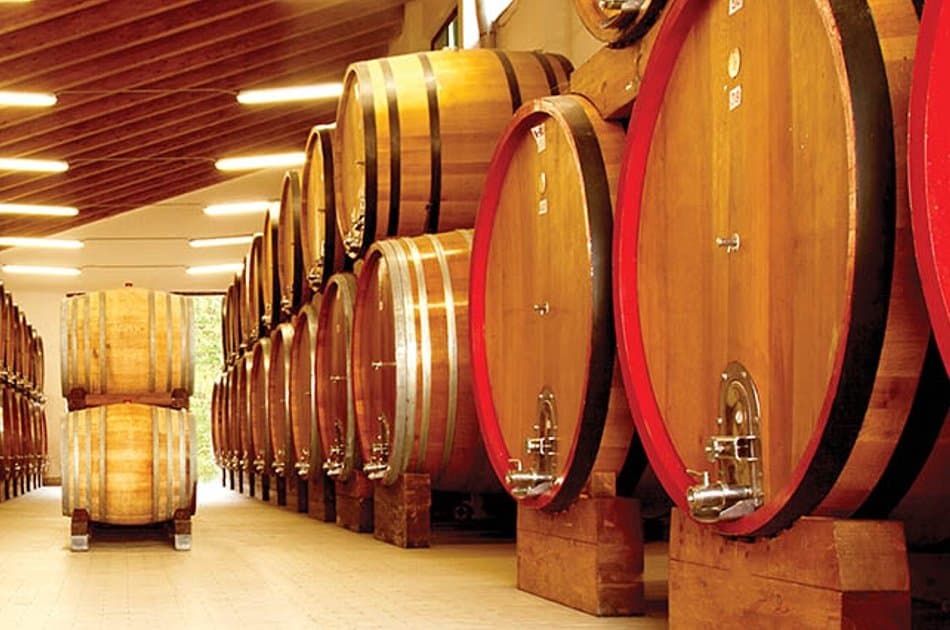 Etna Wine Tasting Tour From Messina - Photo 5