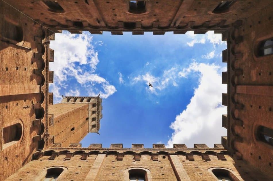 Guided Walking Tour of beautiful Siena - Photo 12