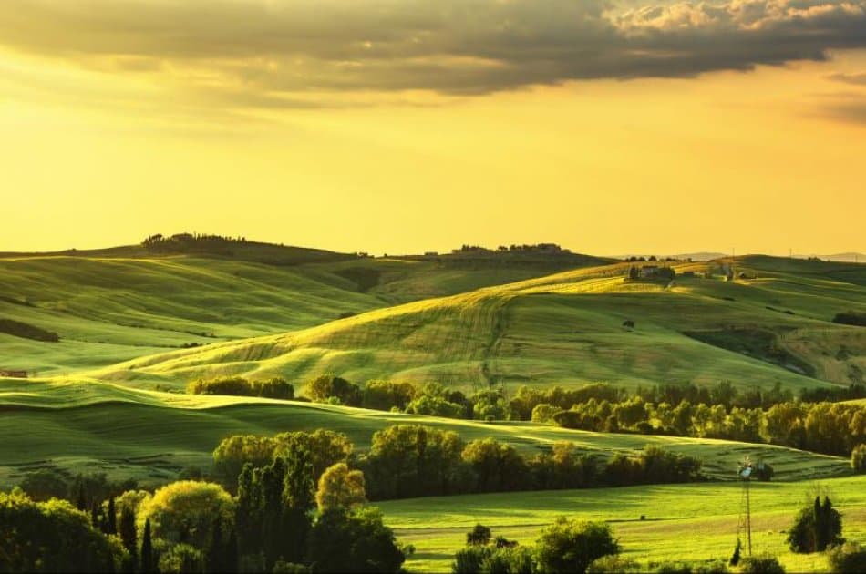 Italian Renaissance - Small Group - Travel by Car Rental - Photo 7