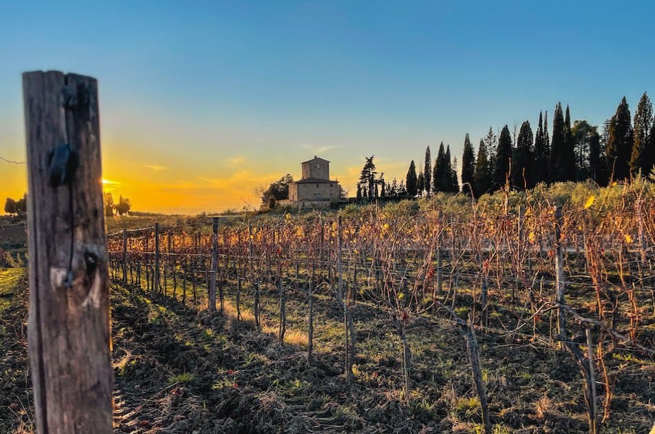 Private Chianti Classico Wine Trek Experience 3 wineries with lunch - Photo 2