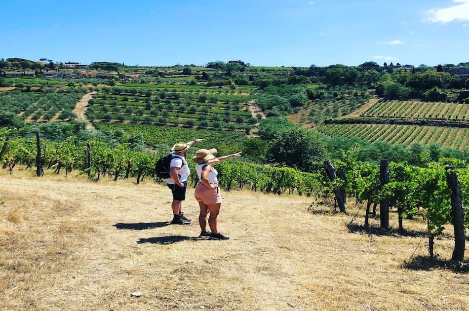 Private Chianti Classico Wine Trek Experience 3 wineries with lunch - Photo 4
