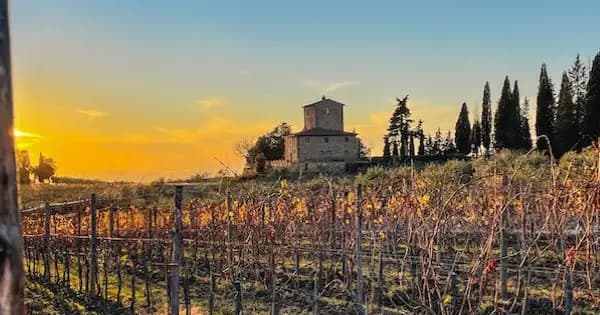 Private Chianti Classico Wine Trek Experience 3 wineries with lunch - Photo 1
