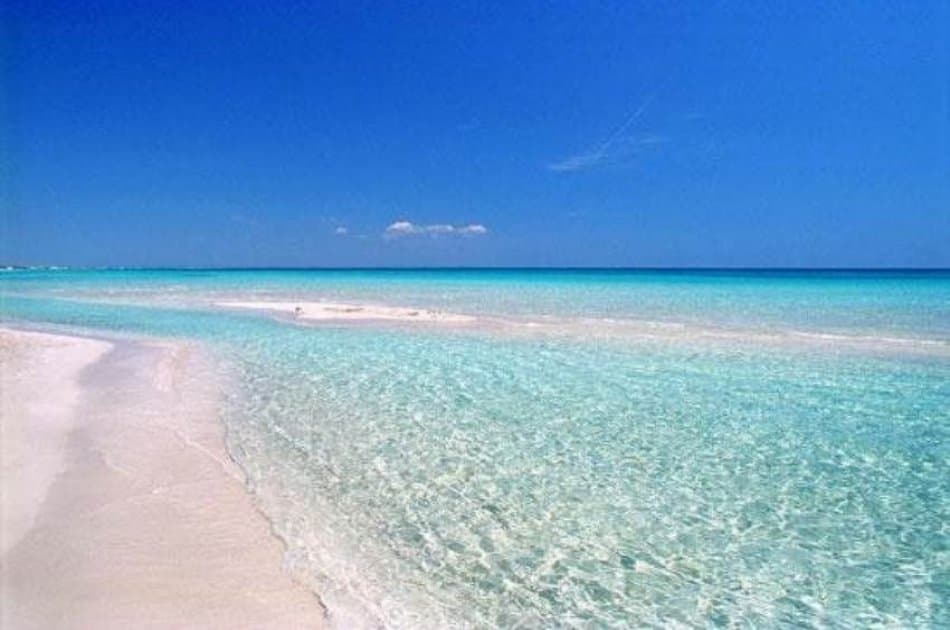 Salento Ionian Coast and Beach Tour from Lecce - Photo 8