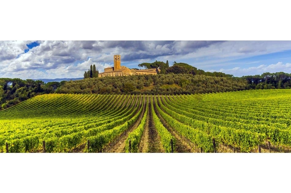 San Gimignano in Tuscany Day Tour by Luxury Minivan & English Guide/Driver - Photo 6