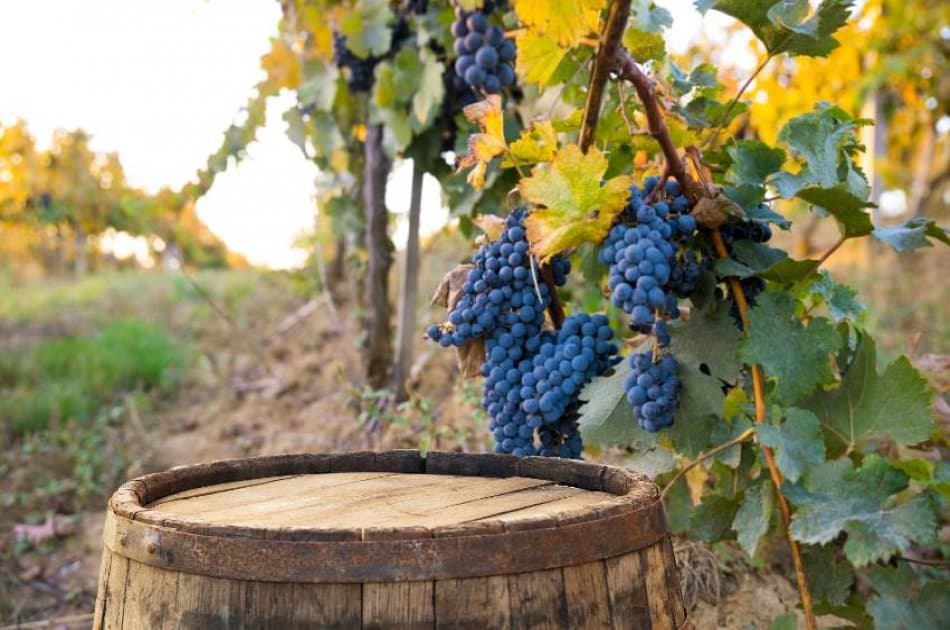 San Gimignano, Siena & Chianti Tour - Photo 6