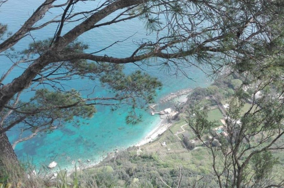 Take the Day to Explore Capri Island and Blue Grotto - Photo 8