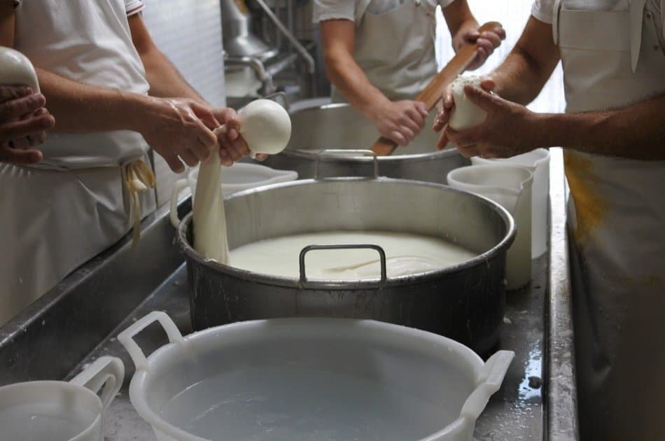 Taste Mozzarella - Photo 7