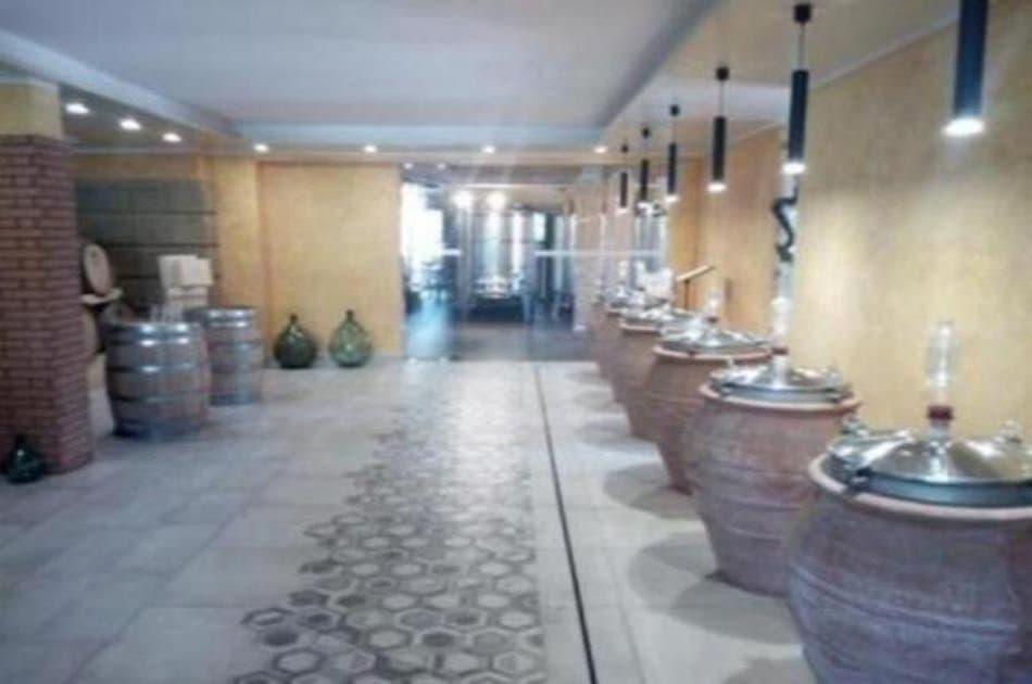 Tour to Pompei and Mt. Vesuvio and wine teasting - Photo 8