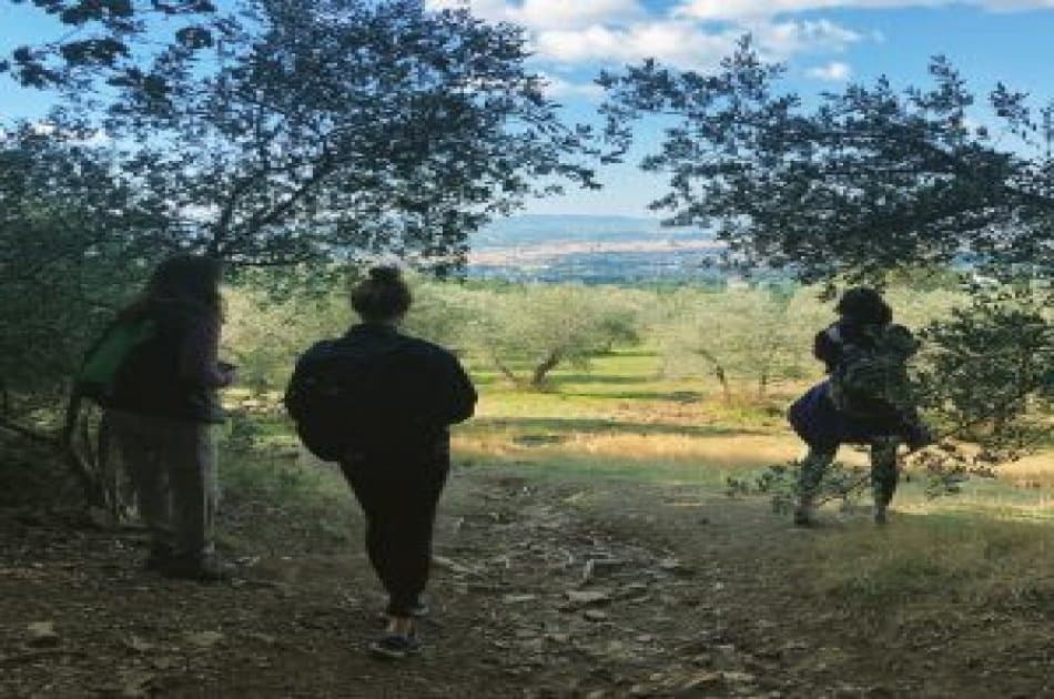 Wine Trekking experience in Florence with lunch - Photo 5