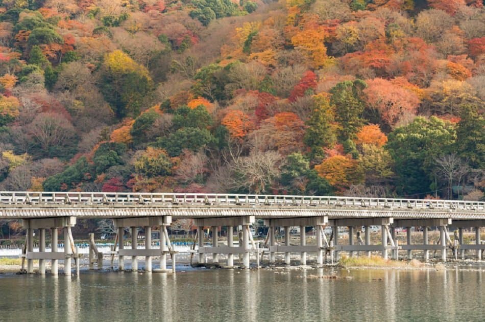 Kyoto’s Arashiyama Bamboo Forest & Temple Garden Tour - Photo 2
