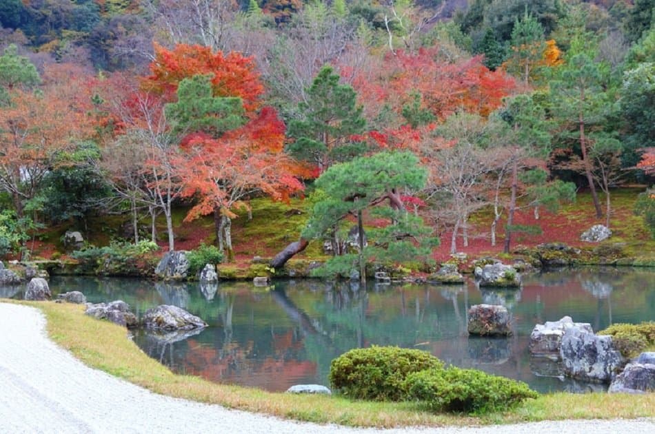 Kyoto’s Arashiyama Bamboo Forest & Temple Garden Tour - Photo 4